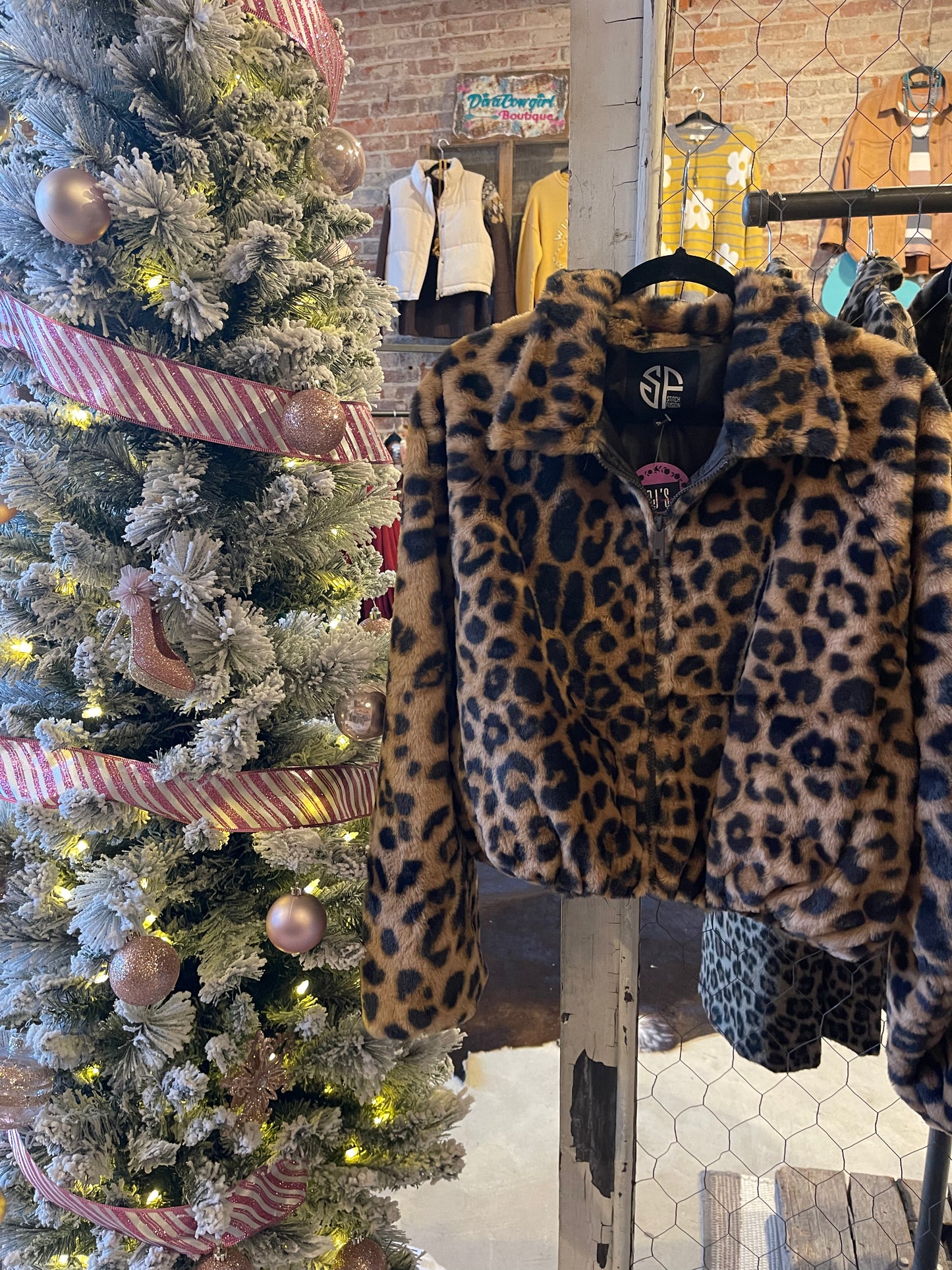 Faux Fur Leopard Jacket
